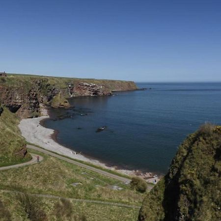 Clifftop Cottage Arbroath Bagian luar foto